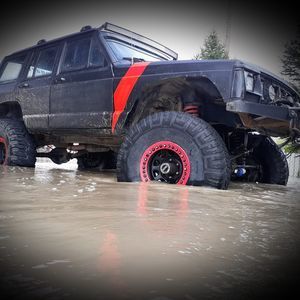 Meet your Posher, Steve